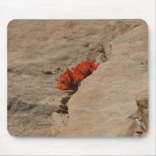Mousepad Pincel Indiano em Rochas em Zion