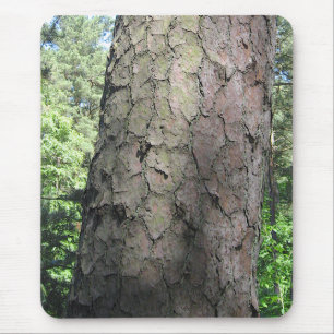 Mousepad Pine Tree, Palanga Botânica Garden, LITUÂNIA -