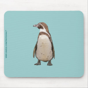 Mousepad Pinguim