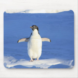 Mousepad - Pinguim