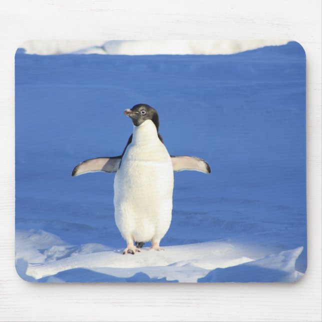 Mousepad - Pinguim (Frente)