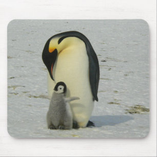 Mousepad Pinguim da mãe e do bebê