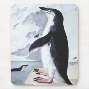 Mousepad Pinguim-de-barrete Antigo, Aves da Antártida