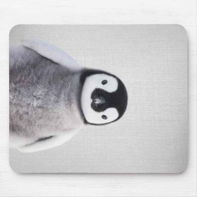 Mousepad Pinguim De Bebê Branco E Preto (Frente)