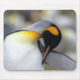 Mousepad Pinguim de rei