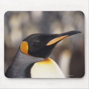 Mousepad Pinguim de rei (patagonicus do Aptenodytes)