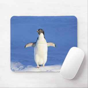 Mousepad Pinguim engraçado no gelo