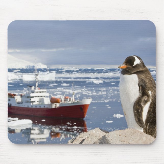 Mousepad Pinguim-gentoo (Frente)