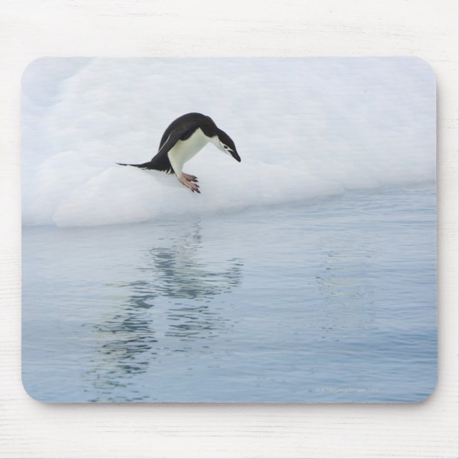 Mousepad Pinguim Gentoo (Pygoscelis papua) (Frente)
