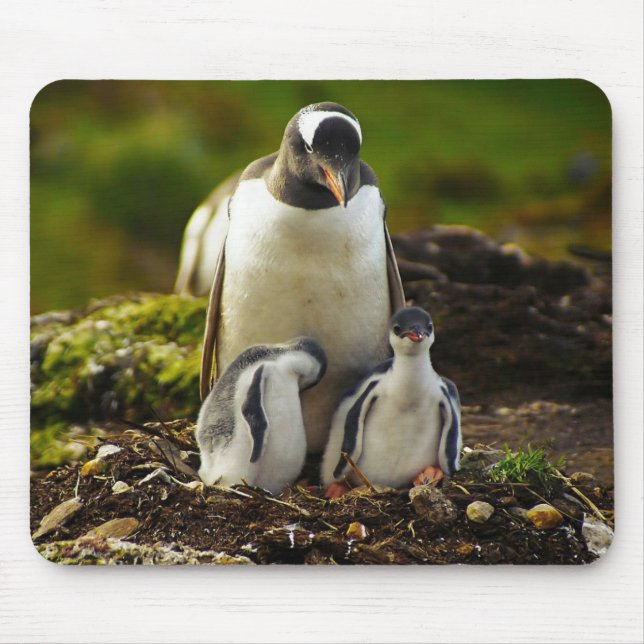 Mousepad Pinguim-mamãe e bebês (Frente)