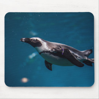 Mousepad Pinguim nadando no mar.