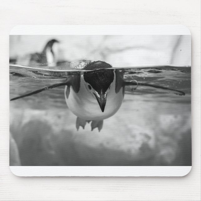 Mousepad Pinguim nadando Preto e branco (Frente)