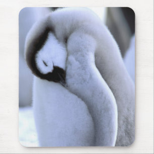 Mousepad Pinguim Península Antártica, Mar de Weddell