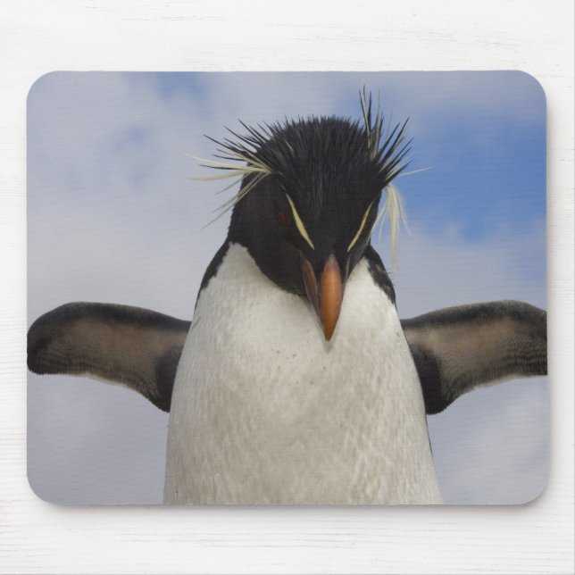 Mousepad Pinguim Rockhopper Eudyptes chrysocome (Frente)