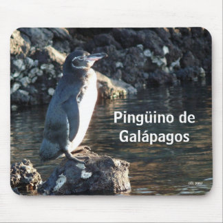Mousepad Pinguino de Galápagos