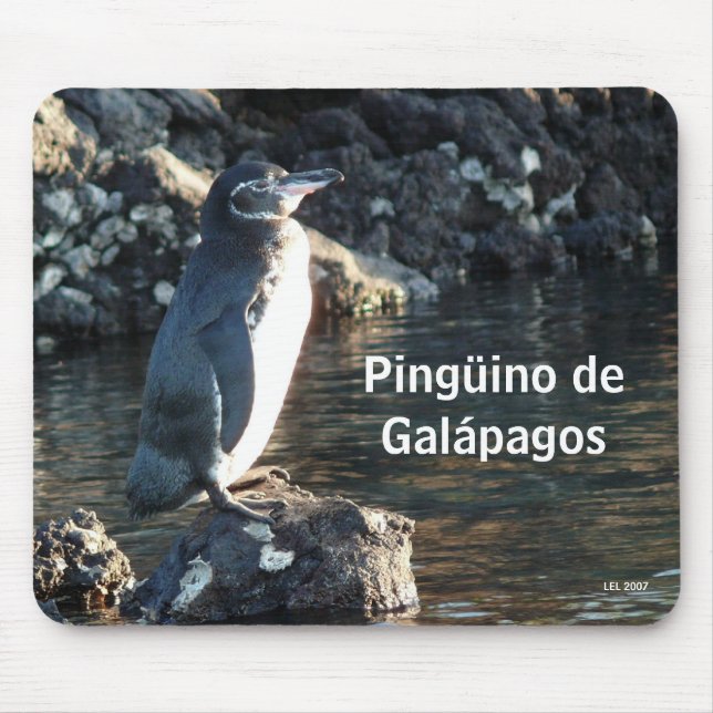 Mousepad Pinguino de Galápagos (Frente)