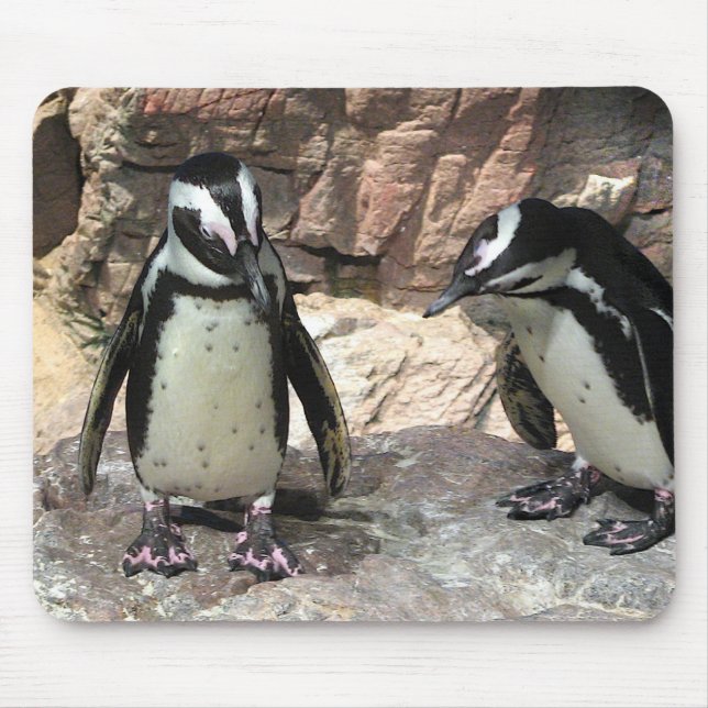 Mousepad Pinguins (Frente)