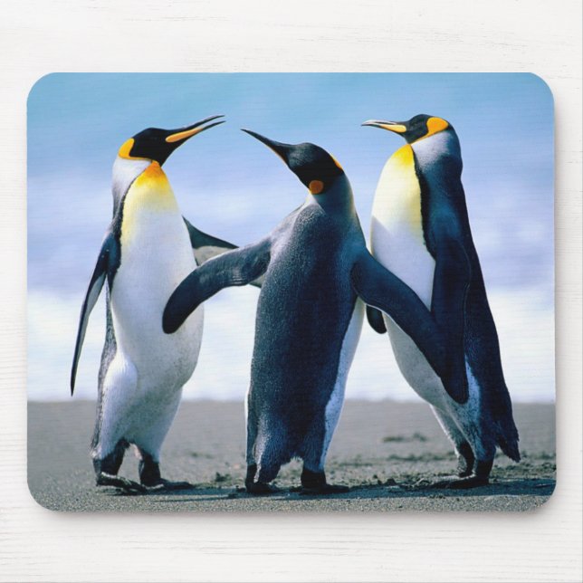 Mousepad Pinguins (Frente)