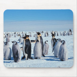 Mousepad pinguins