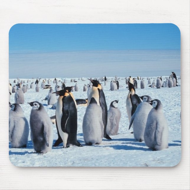 Mousepad pinguins (Frente)