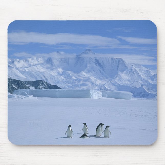 Mousepad Pinguins-de-adélia, Pygoscelis adeliae), (Frente)