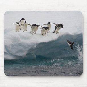 Mousepad Pinguins de Adelie que mergulham no mar Paulette