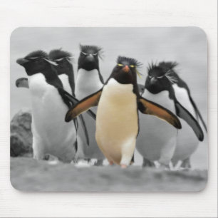 Mousepad Pinguins de Rockhopper