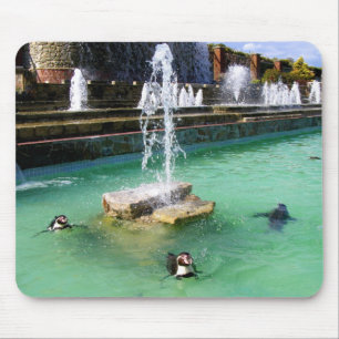 Mousepad Pinguins e fontes de Humboldt