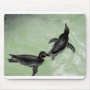 Mousepad Pinguins Humboldt