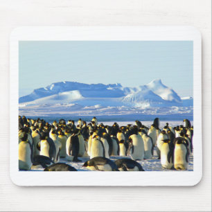 Mousepad Pinguins imperadores