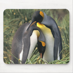 Mousepad Pinguins-rei-amantes