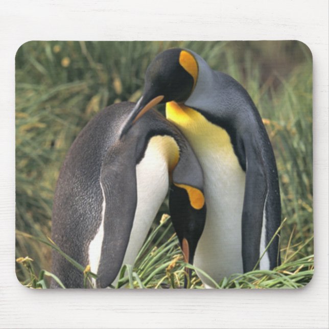 Mousepad Pinguins-rei-amantes (Frente)