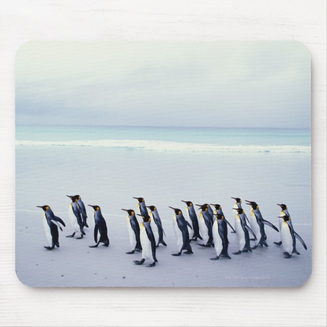 Mousepad Pinguins-rei (Aptenodytes patagonicus) (Frente)