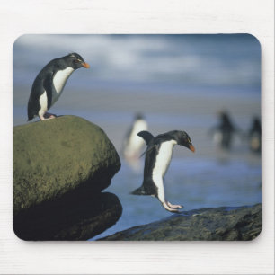 Mousepad Pinguins Rockhopper, Eudyptes chrysocome),