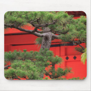 Mousepad Pinheiro Bonsai