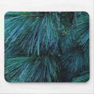 Mousepad Pinheiros Russos   pinhal   coníferas verdes