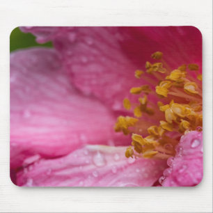 Mousepad Pink Camellia Flower Stamens