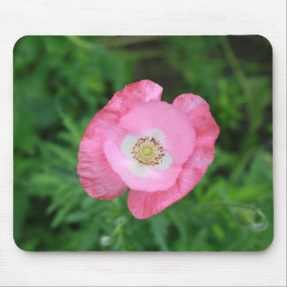 Mousepad Pink Poppy