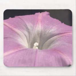 Mousepad Pink Satin Morning Glory Close-up