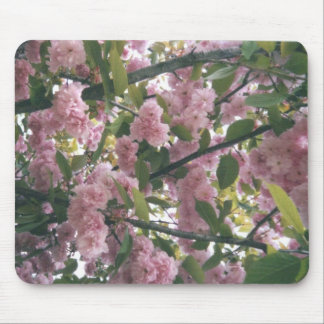Mousepad pinkspringtrees 001
