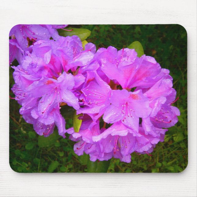 mousepad pinky (Frente)