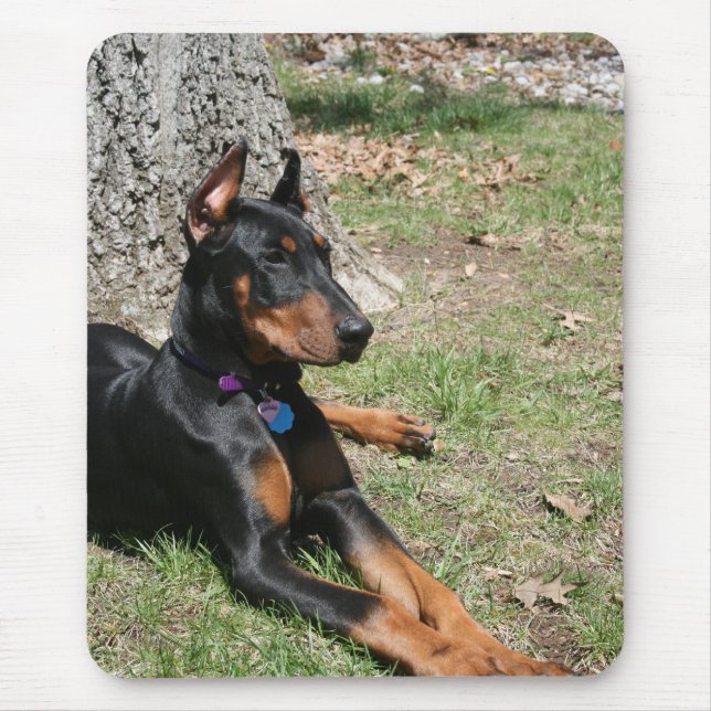 Mousepad Pinscher do Doberman (Frente)