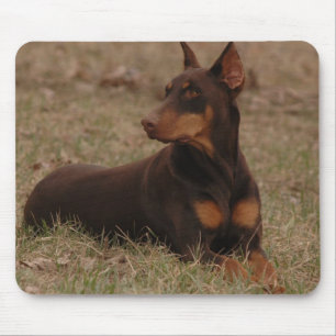Mousepad Pinscher fêmea afiado do Doberman do vermelho e d