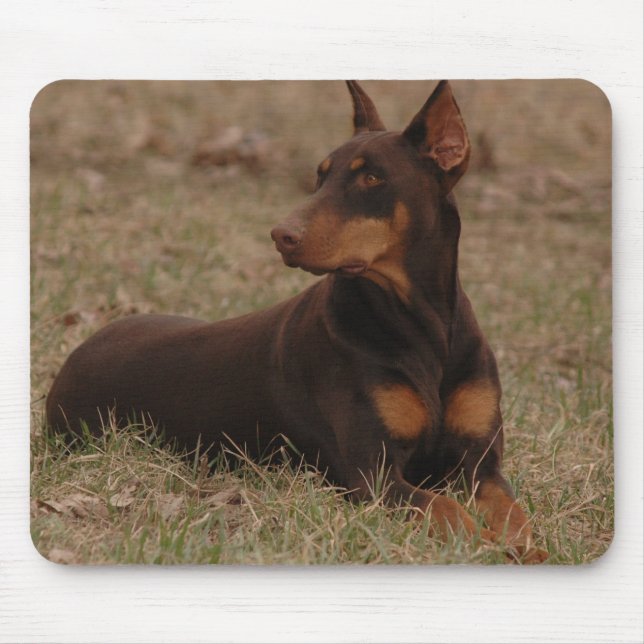 Mousepad Pinscher fêmea afiado do Doberman do vermelho e da (Frente)