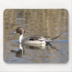 Mousepad Pintail Duck Natações Em Um Pond