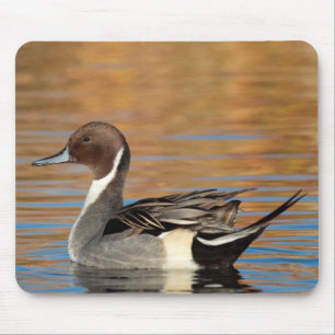 Mousepad Pintail-real-macho
