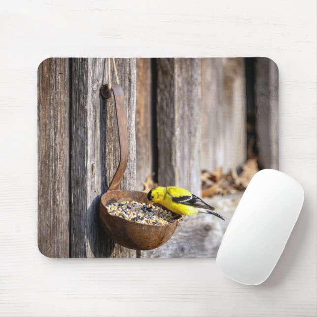 Mousepad Pintassilgo Amarelo em Concha Enferrujada (Com mouse)
