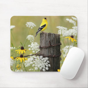 Mousepad Pintassilgo Cantando em uma Estaca de Cerca