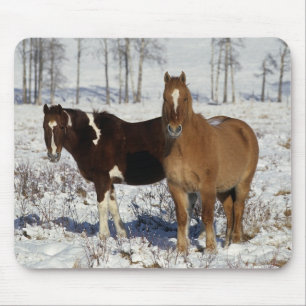 Mousepad Pinte cavalos na neve