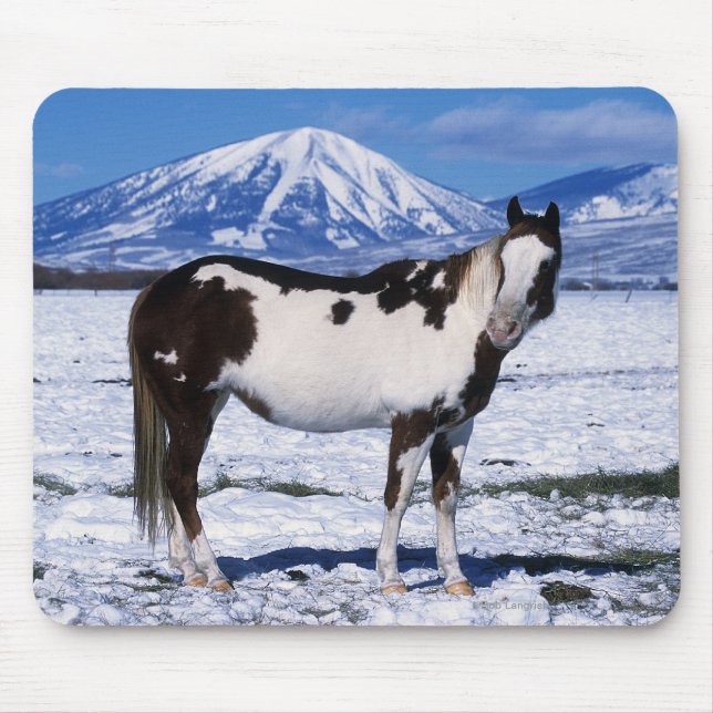 Mousepad Pinte o cavalo que está na neve (Frente)